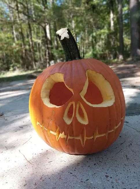 Most Unique and Easy Pumpkin Carving Ideas 5