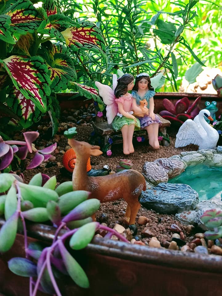 fairy garden design ideas
